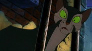 Felidae wallpaper 
