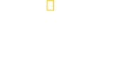 Logo of Free Solo image size 2488x1299