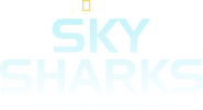 Logo of Sky Sharks image size 2391x1300