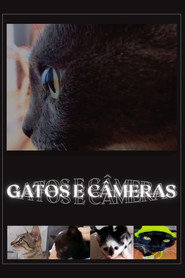poster Cats and Cameras