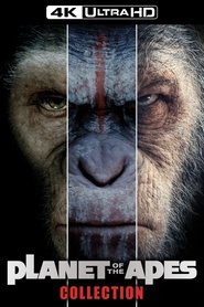 Poster image size 1000x1500