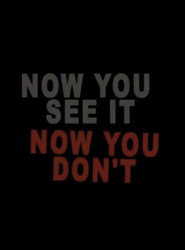 Now You See It Now You Don't