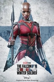 Poster of The Falcon and the Winter Soldier image size 854x1280