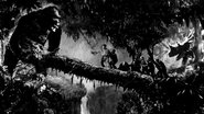 « King Kong » : le cœur des ténèbres wallpaper 