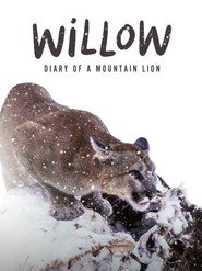 Willow: Diary of a Mountain Lion