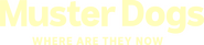 Logo of Muster Dogs: Where Are They Now image size 4317x947