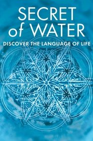 poster Secret of Water