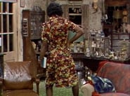 Sanford and Son season 5 episode 9