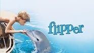 Backdrop of Flipper image size 3840x2160