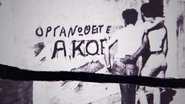 ΑΚΟΕ/ΑΜΦΙ: Η Ιστορία Μιας Επανάστασης (*Να κοιμάμαι στο στήθος του…) wallpaper 