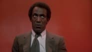 Bill Cosby: Himself wallpaper 