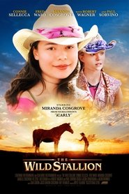 Poster of The Wild Stallion image size 2000x3000