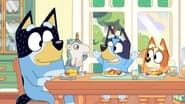 Bluey season 3 episode 29