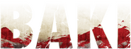 Logo of BAKI image size 568x212