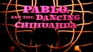 Pablo and the Dancing Chihuahua wallpaper 
