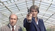 Calibre magnum pour l'inspecteur wallpaper 