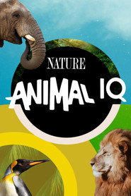 Animal IQ Animal IQ
