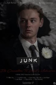 poster JUNK & Its Connection to What's Unknown