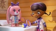 Doc McStuffins: The Doc and Bella Are In!  