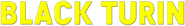 Logo of Black Turin image size 788x112