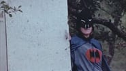 Bat Pussy wallpaper 