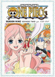 Poster of One Piece image size 714x1000
