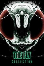 Poster image size 1000x1500