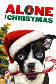 Alone for Christmas 2013 123movies