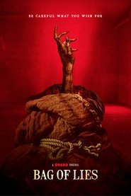 Poster of Bag of Lies image size 893x1337