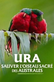 poster Ura, sauver l'oiseau sacré des australes