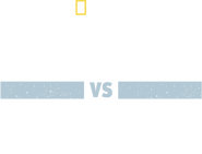 Logo of Shark Vs. Whale image size 1711x1300