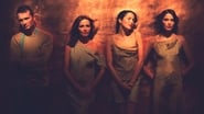 All the Way Home: A History of The Corrs wallpaper 