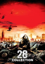 Poster image size 1000x1426