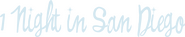 Logo of 1 Night in San Diego image size 4244x856