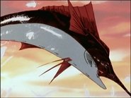 Il marlin blu delle Hawaii (1ª parte)