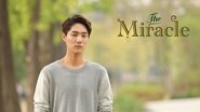 Backdrop of The Miracle image size 1280x720