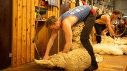 Shearers, NSW