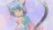 Hayate no gotoku! season 1 episode 8