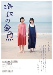 movies-poster
