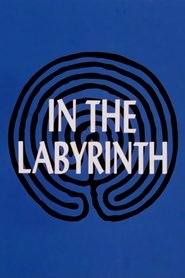 poster In the Labyrinth