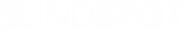 Logo of Blindspot image size 713x114