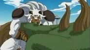 Digimon Frontier season 1 episode 17