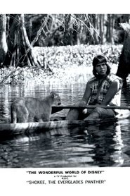poster Shokee, the Everglades Panther