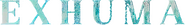 Logo of Exhuma image size 800x107