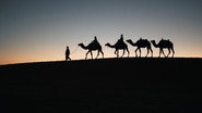 ...Only silk was transported on the Silk Road?