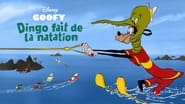 Dingo Fait de la Natation wallpaper 