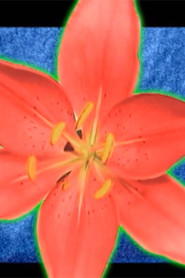 I Thought of You Often