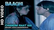 Baaghi: A Rebel for Love wallpaper 