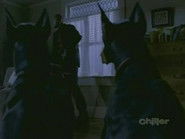 The Doghouse / Still Life