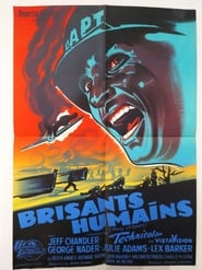 Voir film Brisants humains en streaming